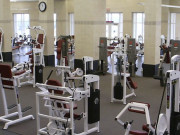 Training machines or Free weights? Training machines