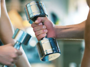 The Weights : A classic of the gyms exercises weights