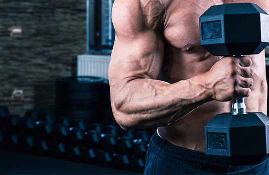 Deltoid Training Deltoid Training